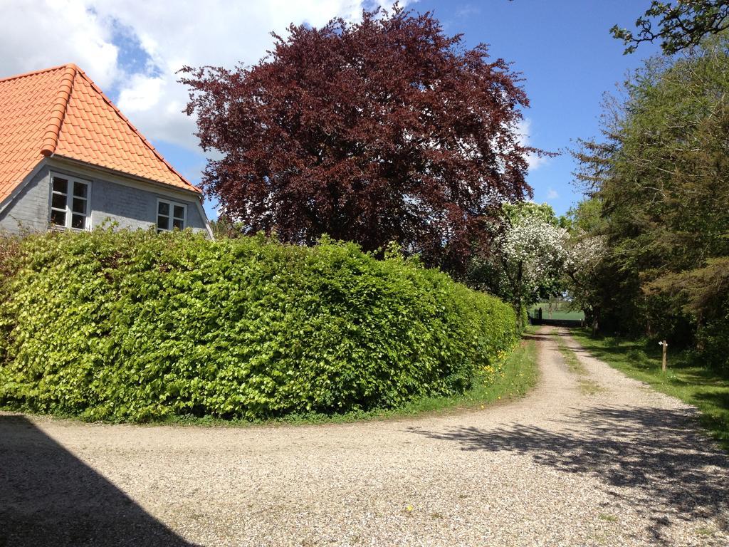 Kildegaarden Bed & Breakfast Frorup Extérieur photo
